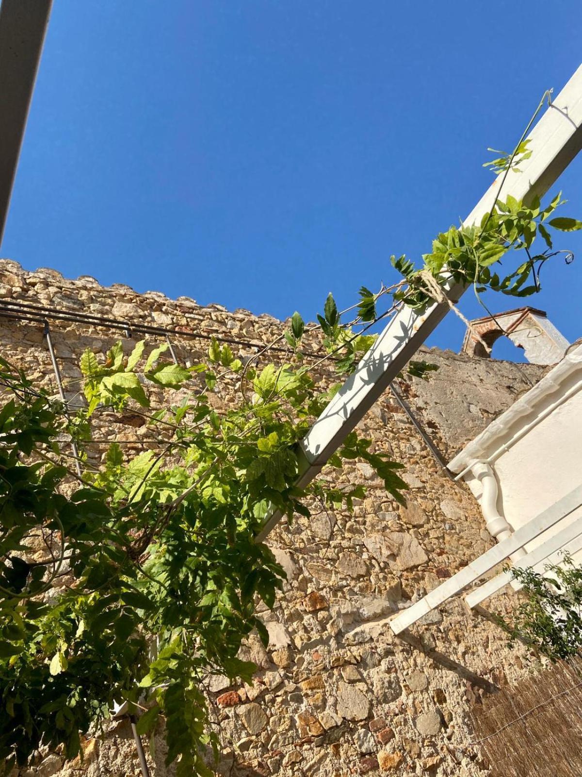 Ecoturisme Mas Ribas Hotel Palamos Exterior photo