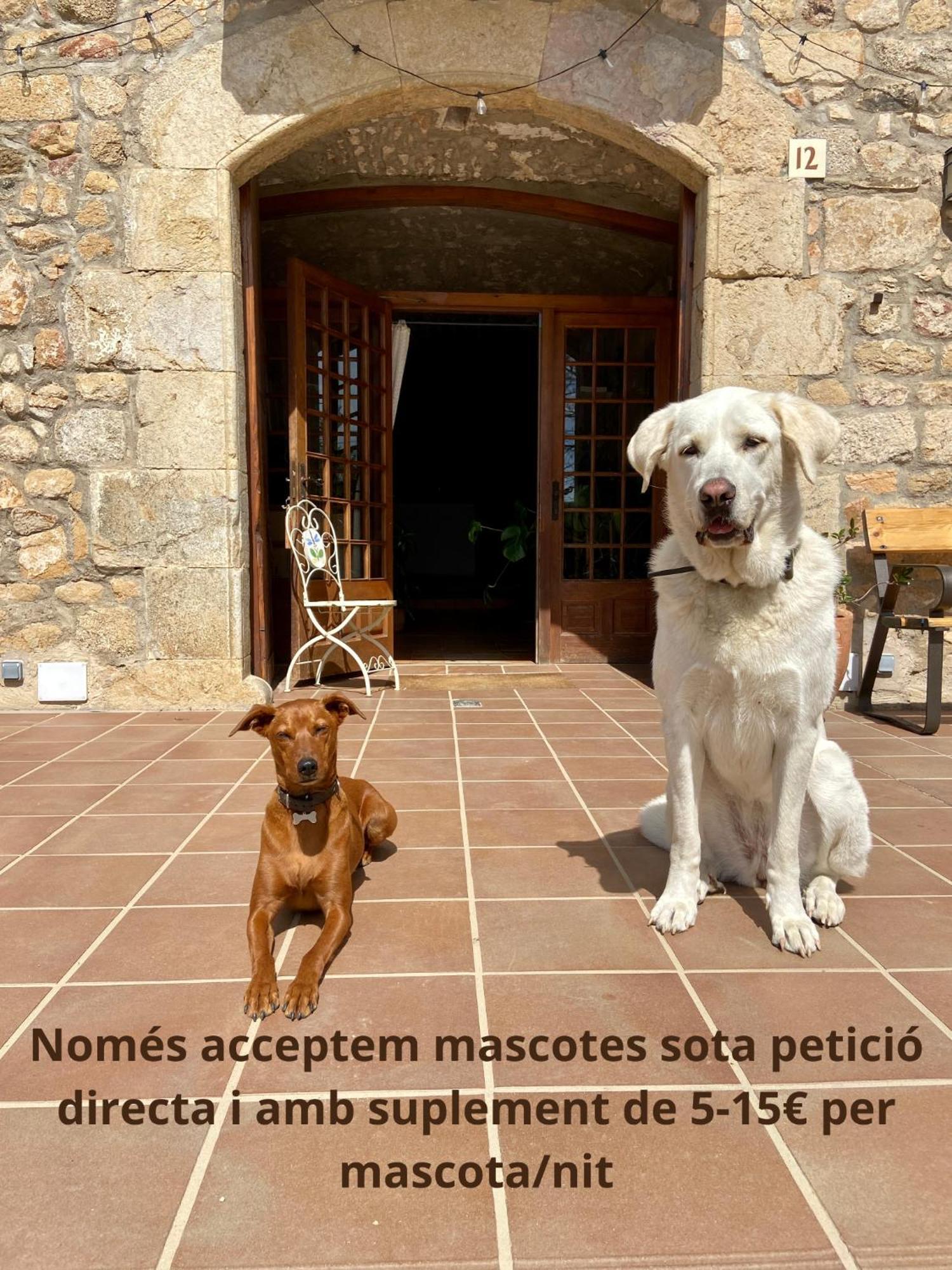 Ecoturisme Mas Ribas Hotel Palamos Exterior photo